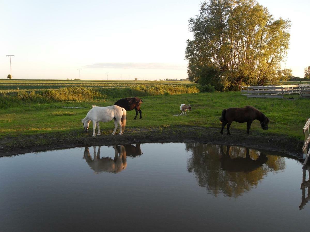 Horse Lake Ranch Neuendorf  Kültér fotó
